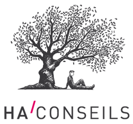 CABINET HA CONSEILS
