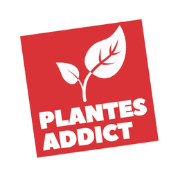 Plantes Addict